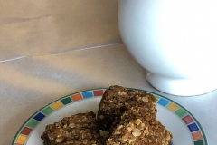 Date-and-oat-slice-scaled